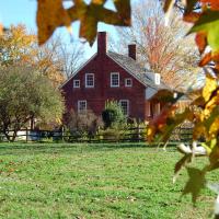 brown house with fall leaves